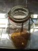Sprouting jar